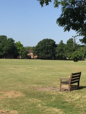 View across the Common 
